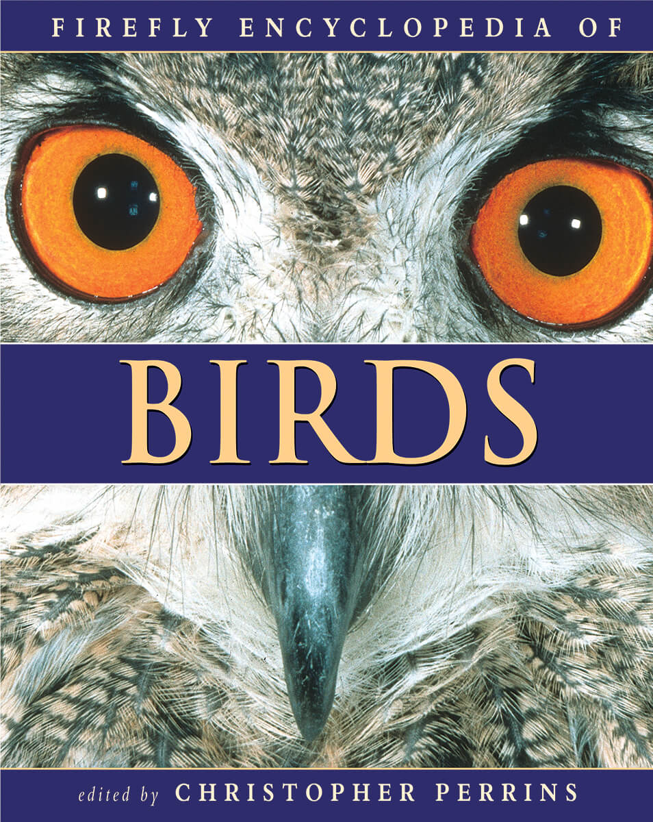 Book cover - Birds