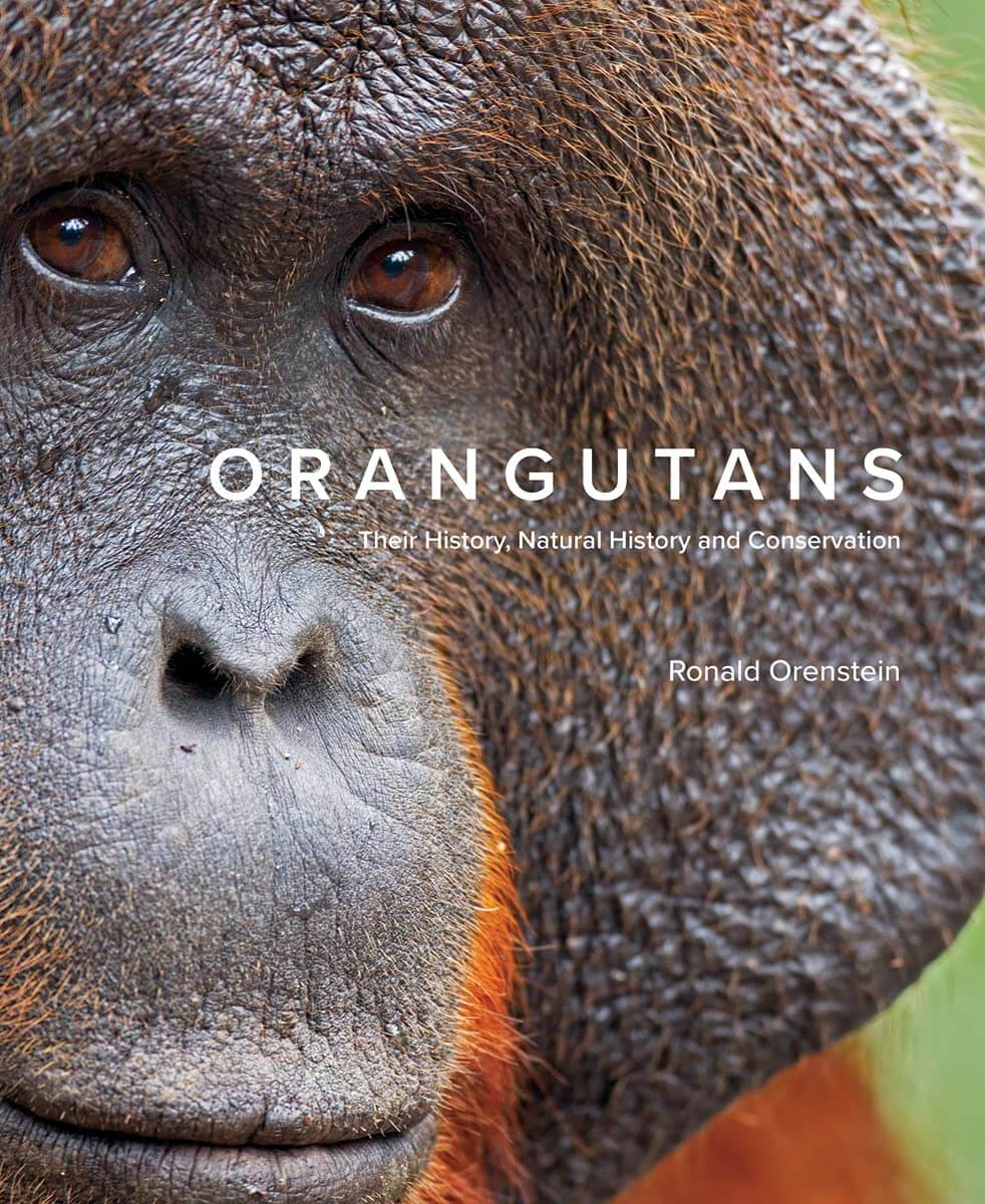 Book - Orangutans - Their History, Natural History and Conservation